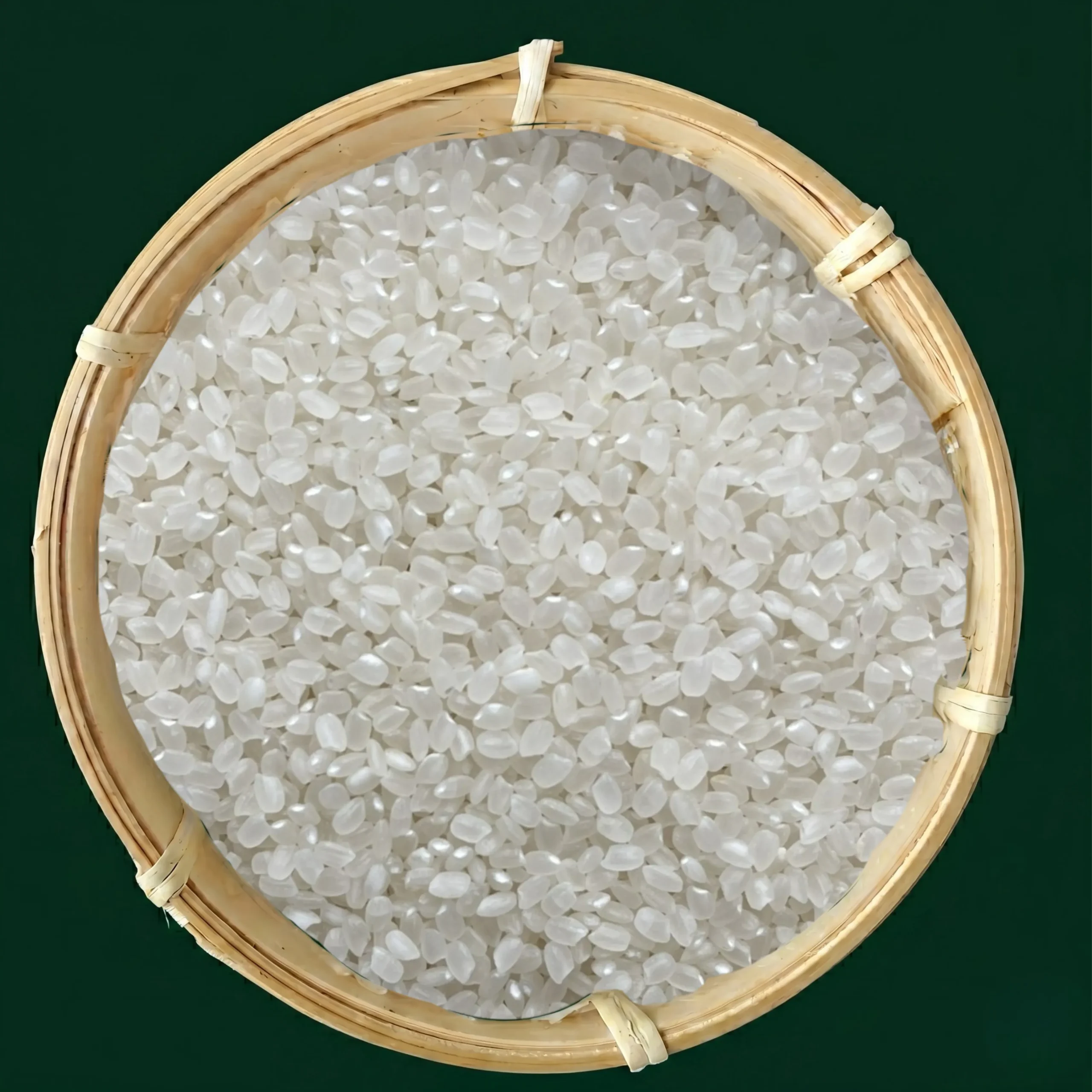 Japonica Rice